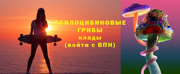 стаф Алексеевка