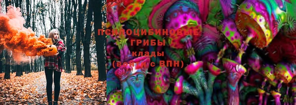 героин Алексин