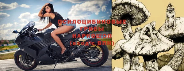 ПСИЛОЦИБИНОВЫЕ ГРИБЫ Алзамай