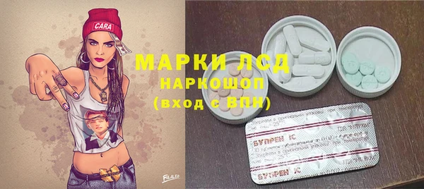 ПСИЛОЦИБИНОВЫЕ ГРИБЫ Алзамай