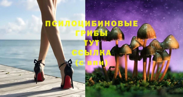 стаф Алексеевка