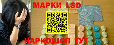амф Гатчина