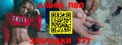 амф Гатчина