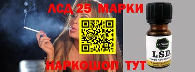 амф Гатчина