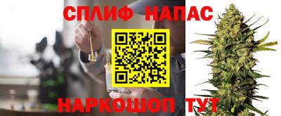 сатива Гай