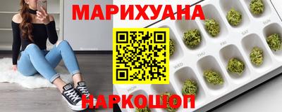 сатива Гай