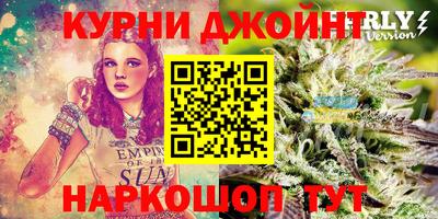 СК Гагарин