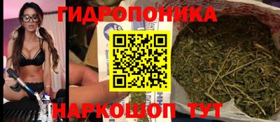 СК Гагарин