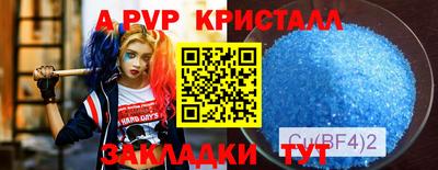 амф Гатчина