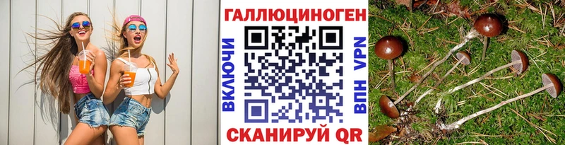как найти наркотики  Нижнеудинск  Псилоцибиновые грибы Psilocybine cubensis 