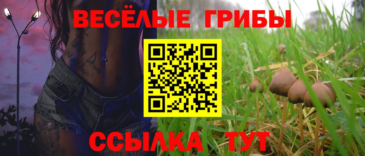 Галлюциногенные грибы Psilocybe Нижнеудинск
