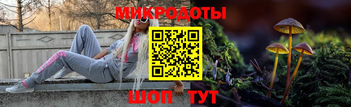 где можно купить наркотик  Галлюциногенные грибы прущие грибы  Псилоцибиновые грибы MAGIC MUSHROOMS  Вход с VPN  Нижнеудинск 